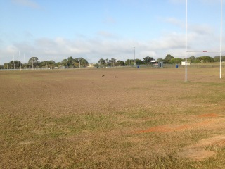 MANGO HILL BOBCAT HIRE